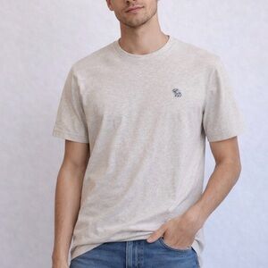 Abercrombie & Fitch Light Gray Short Sleeve Tee